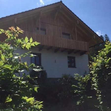 Schweizer Haeusl Apartment Bayerisch Eisenstein Exterior foto